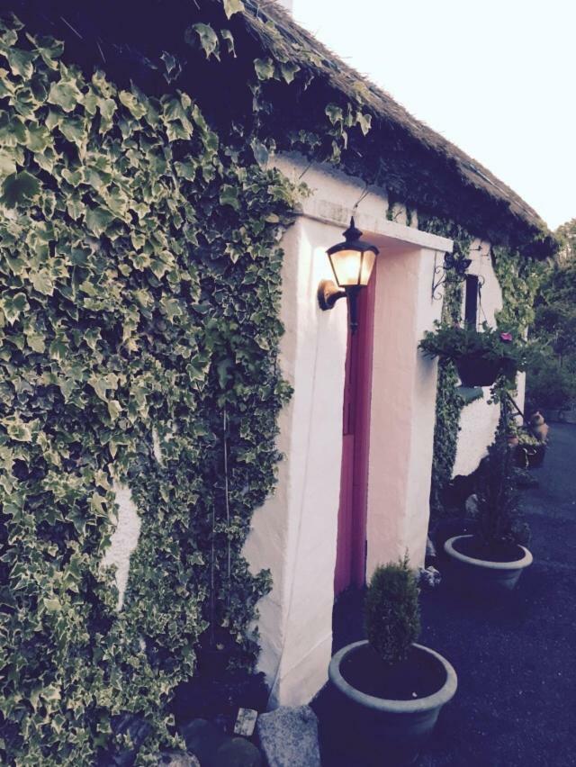 Teresas Cottage 도니골 외부 사진