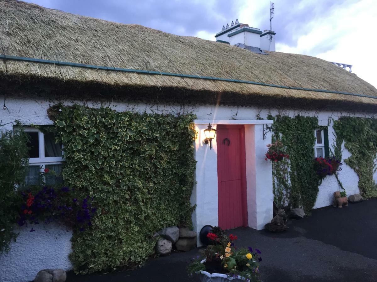 Teresas Cottage 도니골 외부 사진